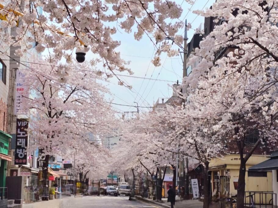 Dotoryhouse Hapjeong Hongdae Apartment Seoul